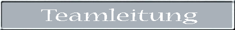 Teamleitung